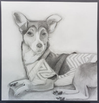 Tima Charcoal and Graphite