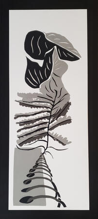 Evolving Morphology
